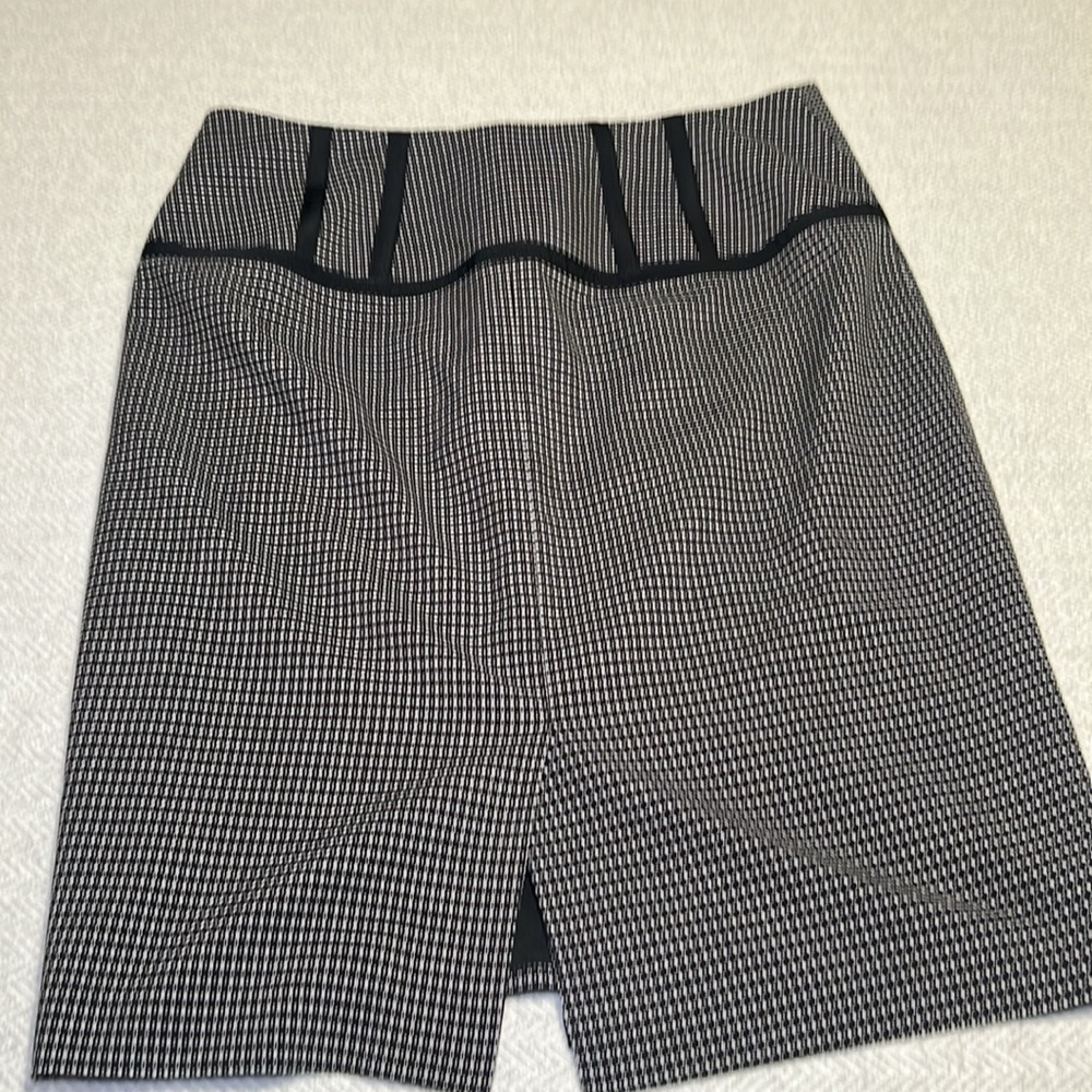 THE LIMITED  Collection Skirt.  Size 8 - Picture 4 of 7